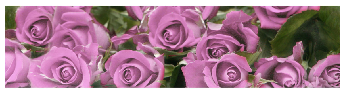 Personalization_Images_Pink_Roses